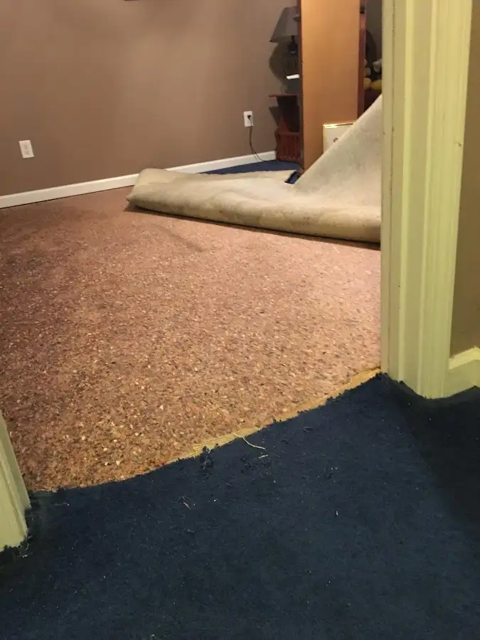 Carpet pad removal revealing water damage during Water Mitigation Services in St. Clair Shores