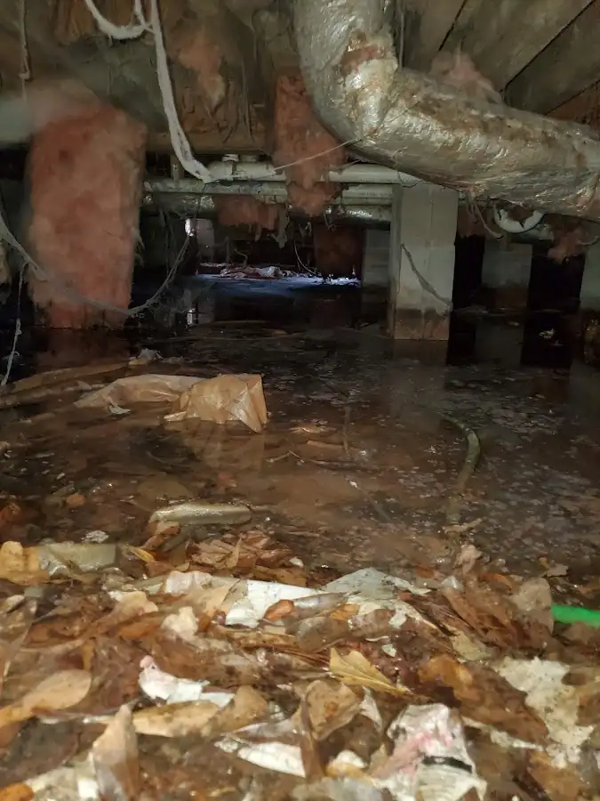 Crawl space flood assessment for Commercial Water Damage Restoration in St. Clair Shores