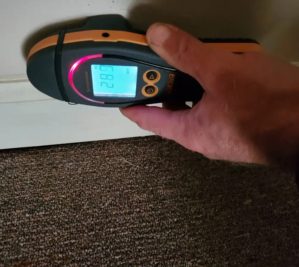 Moisture detection at baseboard during Sewage Cleanup & Sanitation in St. Clair Shores