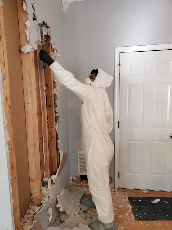 Water Damage Restoration services in St. Clair Shores, MI